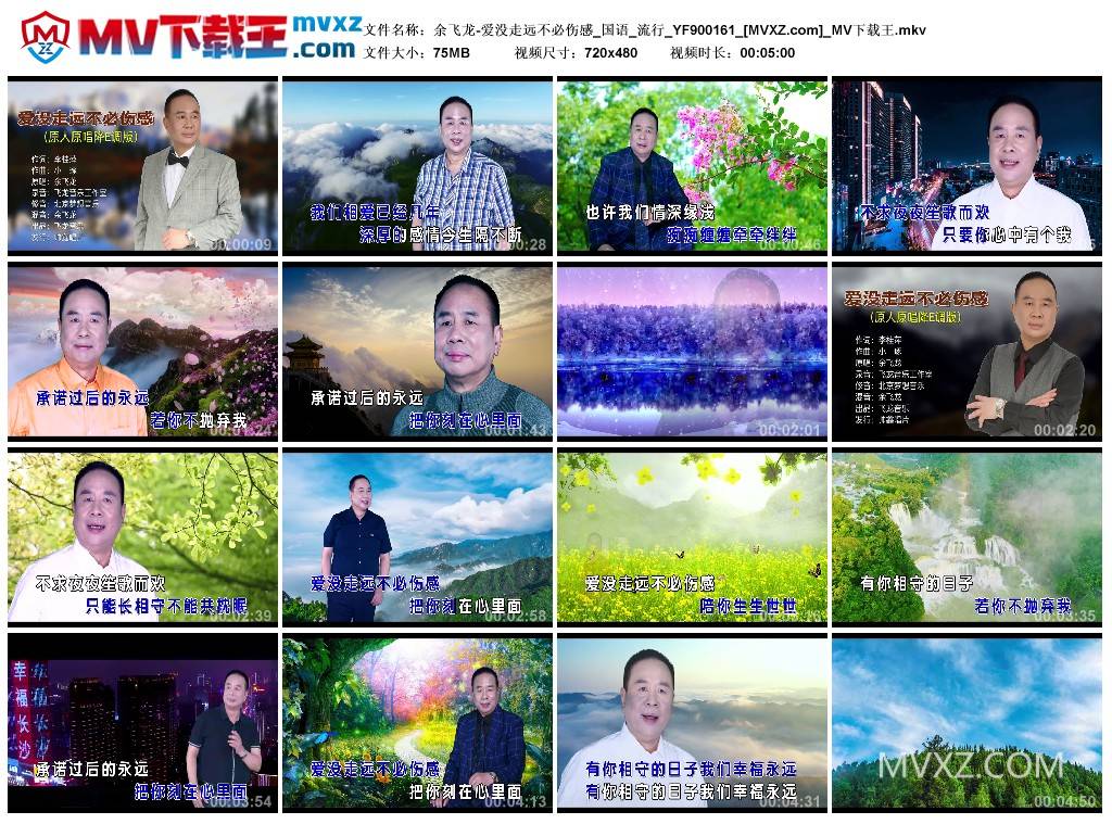 余飞龙-爱没走远不必伤感_国语_流行_YF900161